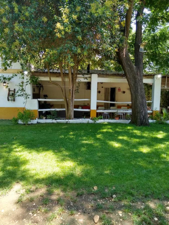 Finca El Naranjo Sevilha Exterior foto